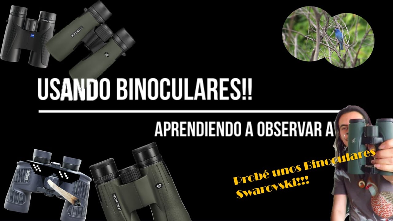 Aprendiendo a Observar Aves 1.4 | Usando Binoculares + Review de modelos
