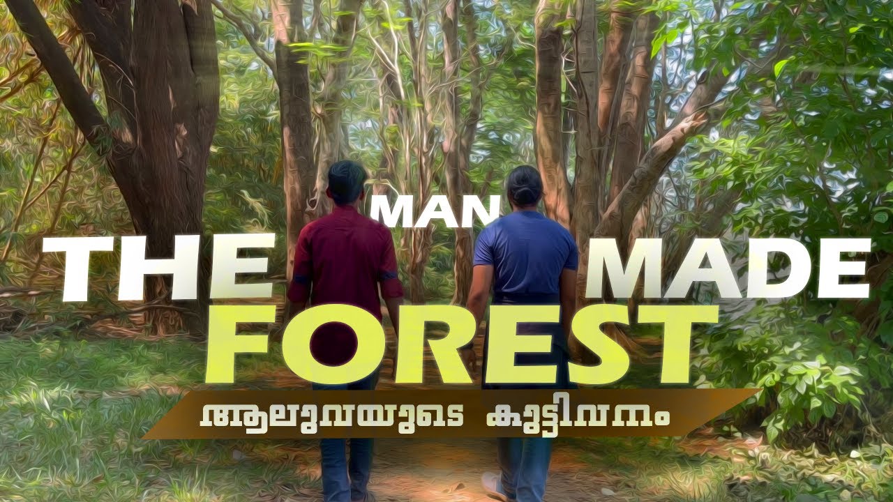 നഗരത്തിന്റെ നടുവിൽ ഒരു കുട്ടിവനം | Man made forest | Aluva |