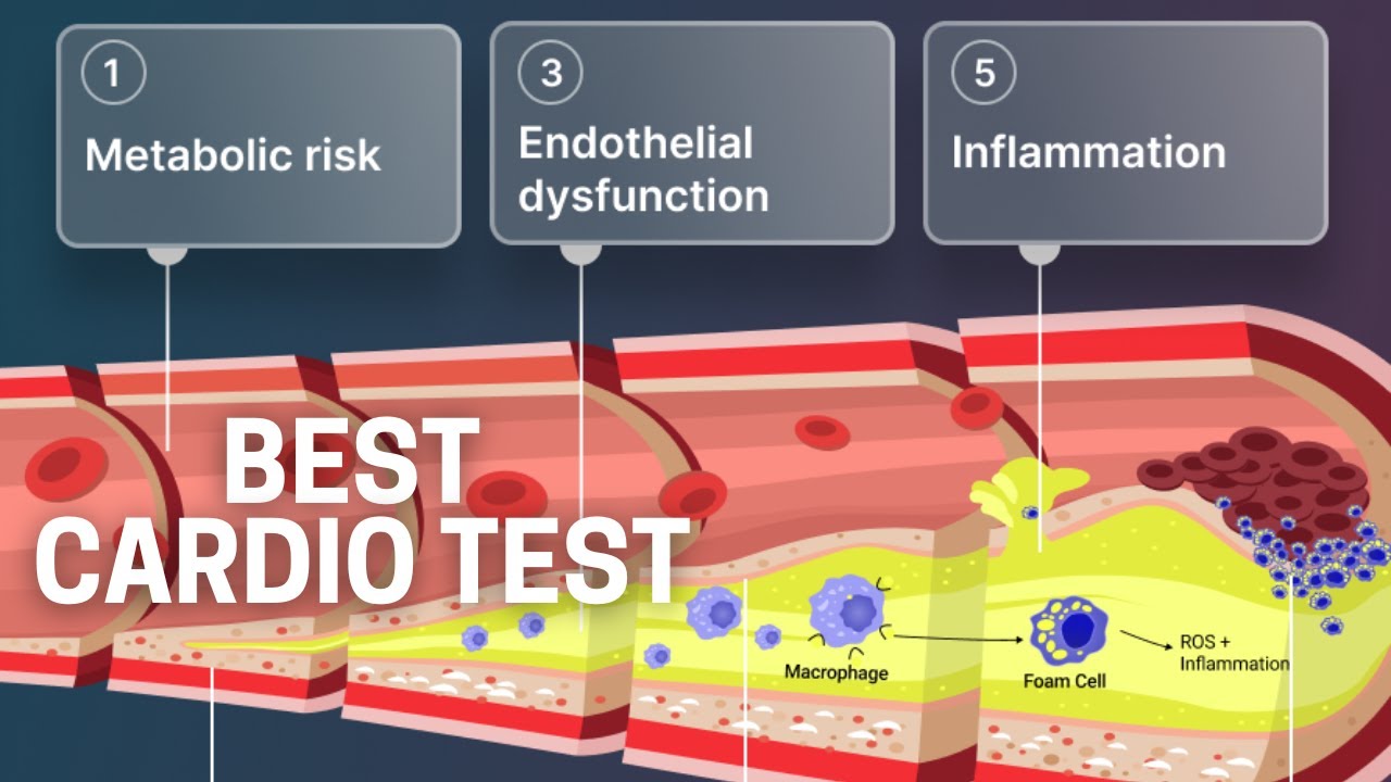 Vibrant Wellness Cardio Zoomer Review