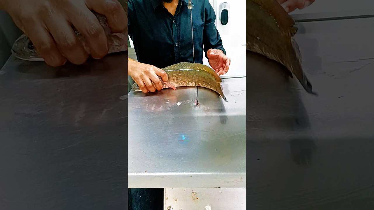 Giant Amazing Live Shoal Fish Cutting Skills Show #shortsvideo #shorts #youtubeshorts #fish #shoal