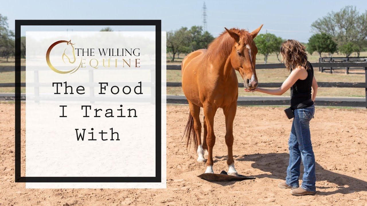 What's In My Training Pouch (The Food I Train With) // Positive Reinforcement