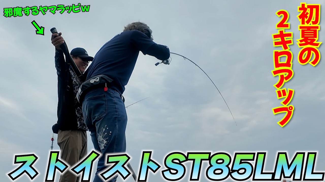 初夏の2キロアップ捕獲！超曲がるNEWエギングロッド【ストイストST85LML】をヤマラッピに借りて使ったら異次元の感度すぎて2人でアオリイカ連発！