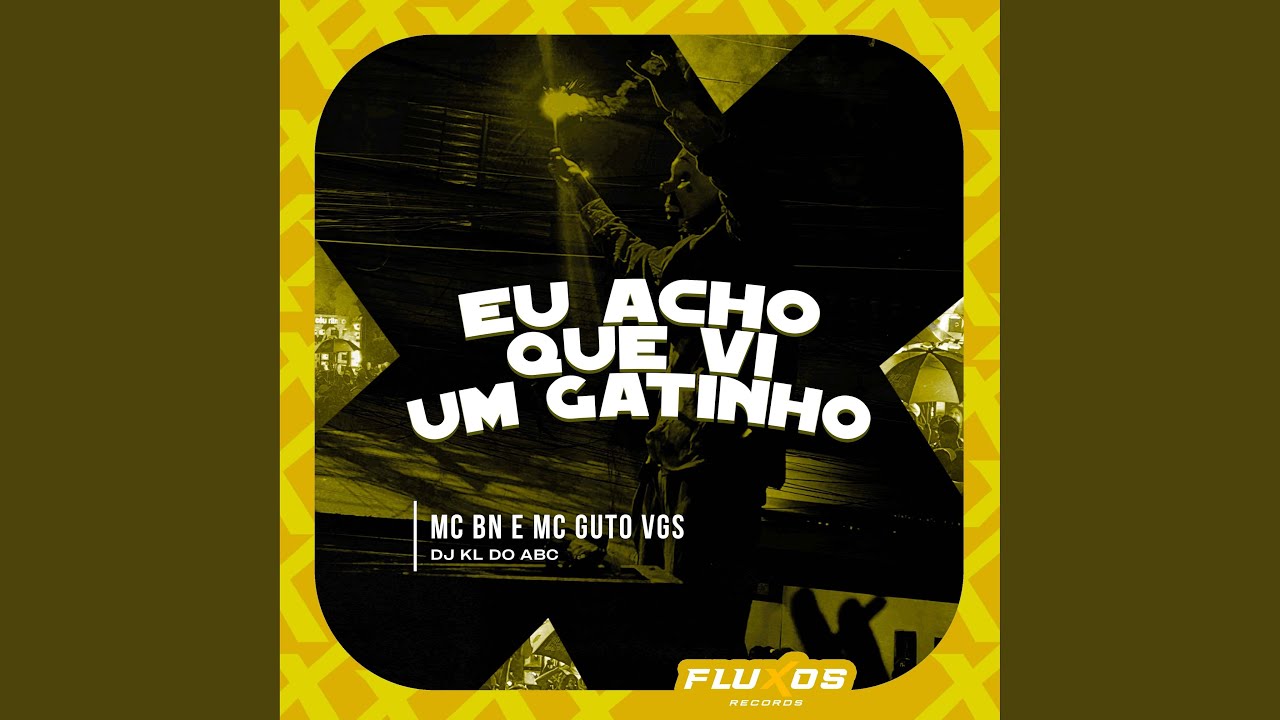 Eu Acho Que Vi um Gatinho