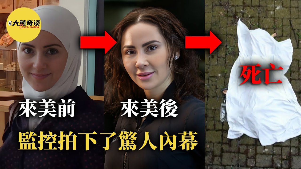 貴婦豪宅墜落，監控拍下線索。令人震驚的不是作案動機，而是....[ 真實案件 刑事 調查 真實犯罪紀錄片—大熊奇談 ]