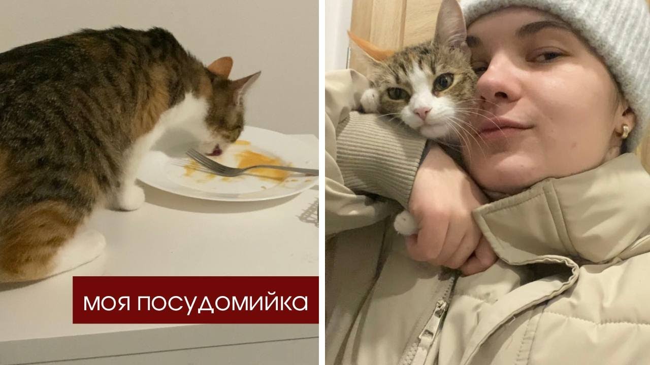 Вечір після цілого робочого дня.