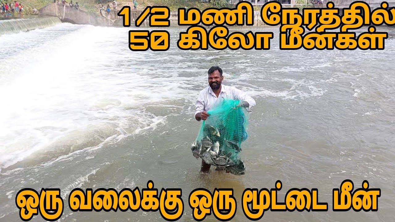 Amazing river fishing/ tamilnadu cast net fisherman/ மழை வெள்ளத்தில் மூட்டை மூட்டையாக மீன்கள்