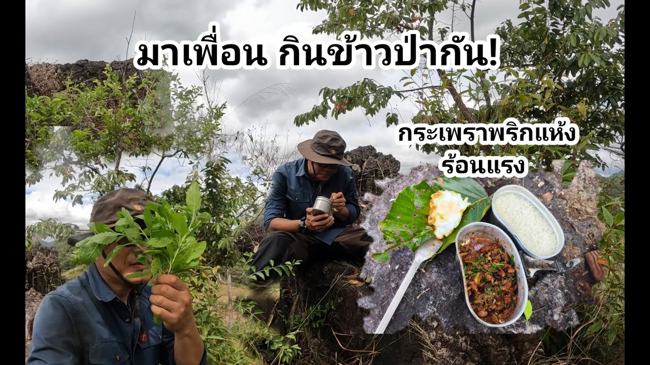 เที่ยวป่า กินข้าวป่า กระเพราทูน่าพริกแห้ง เผ็ดแซ่บบ