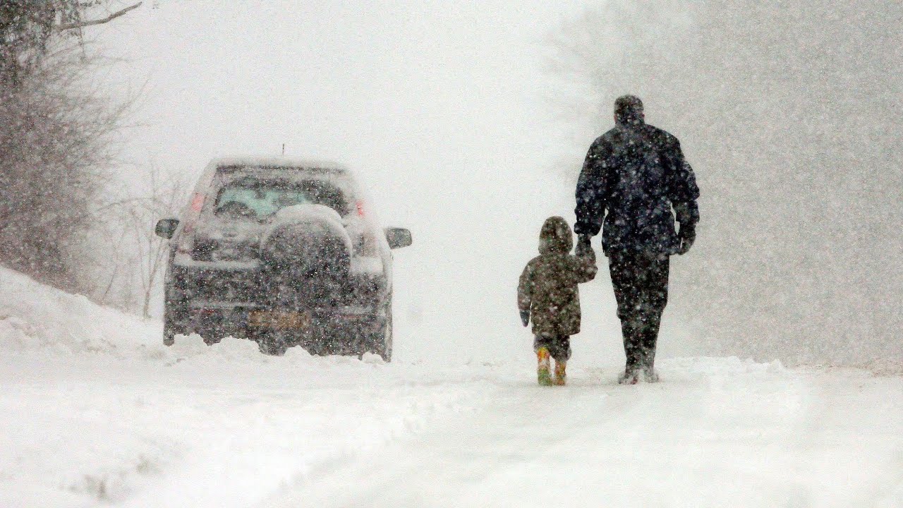 Eight of the best clips of snowy Britain