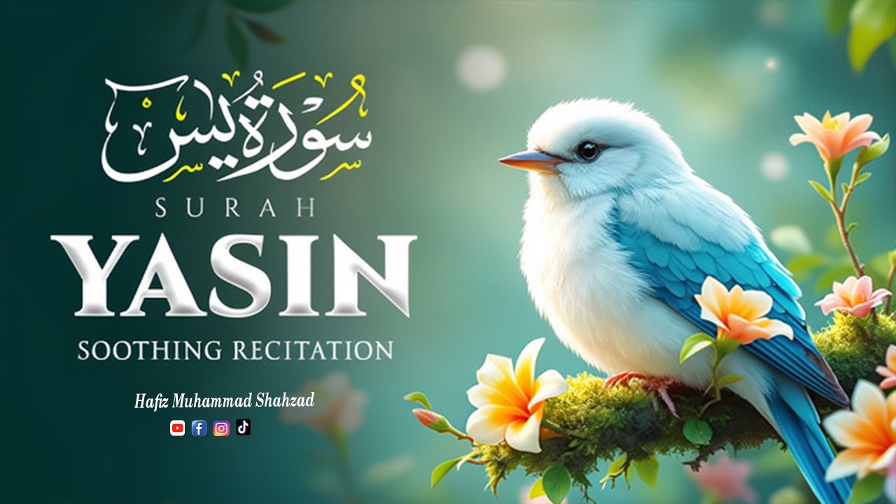 Surah Yaseen Soothing Quran Recitation with Urdu Translation | سورة یٰس | by Hafiz Muhammad Shahzad