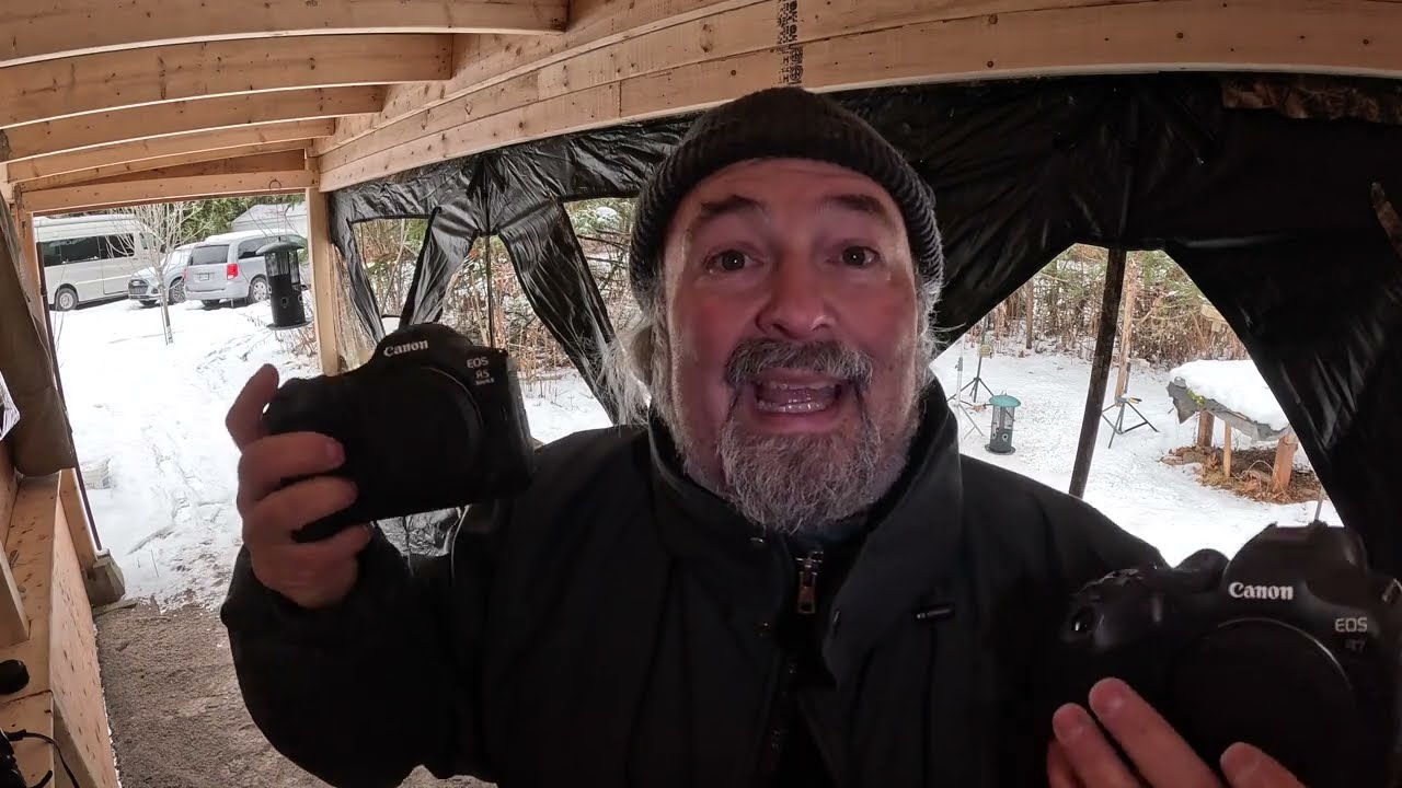 Choisir votre appareil pour la photographie d’oiseaux.
