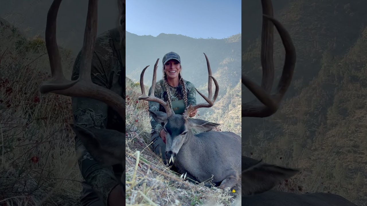 CA OTC Solo Mule Deer Buck