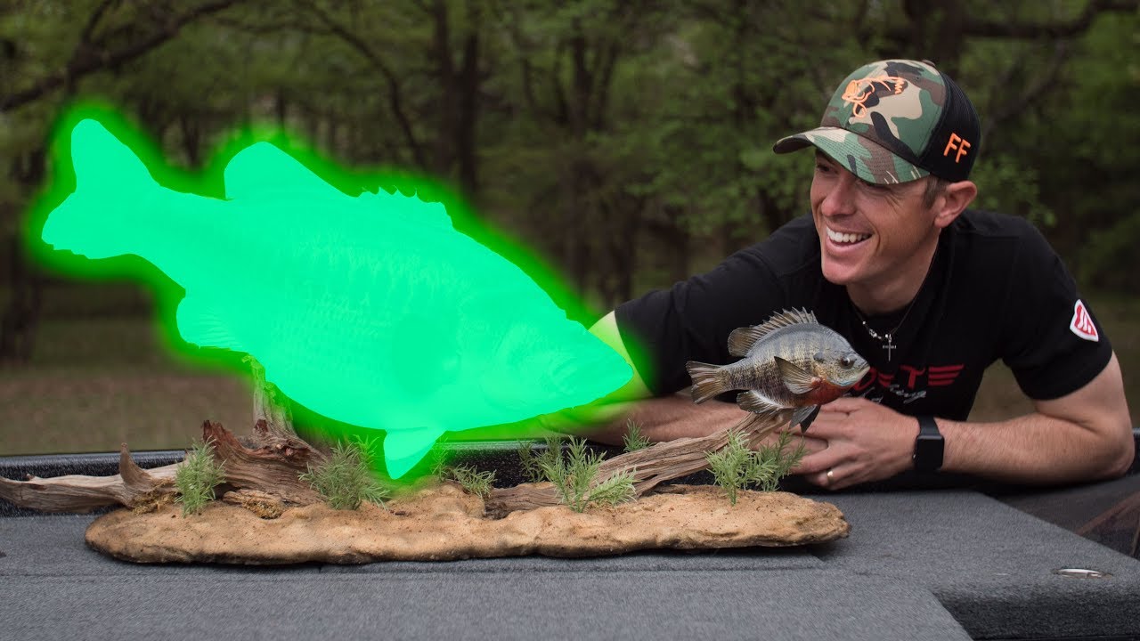 My PB Bass Mount is INSANE!