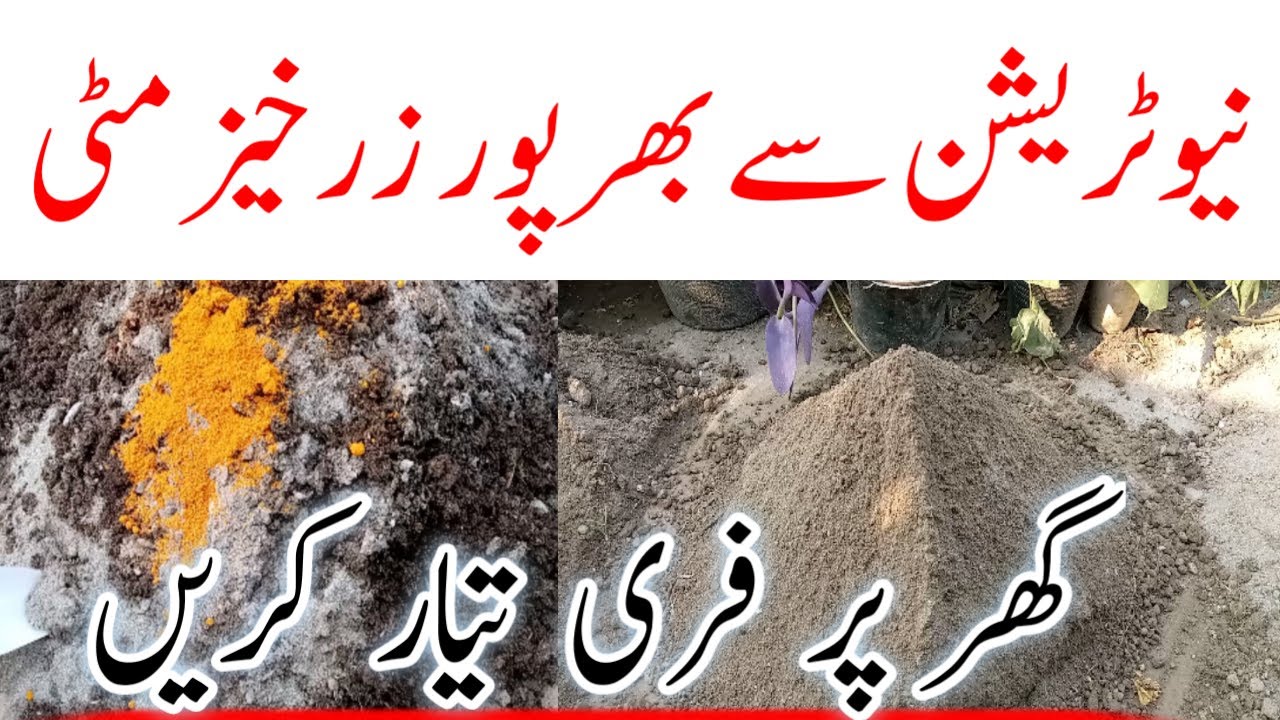 How to make soil for plants|How to prepare best soil for all plant|urdu|hindi 