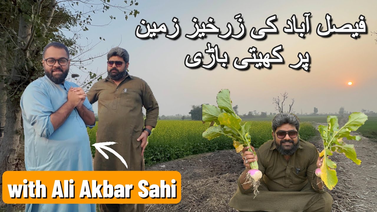Fresh Fruits & Vegetables on the Agricultural Lands of @ALiAkbarSahi near Faisalabad