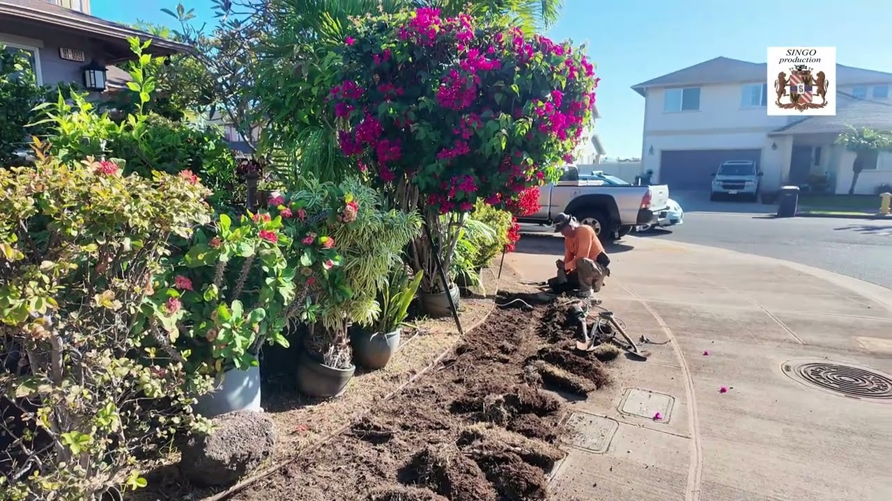 FRONT YARD UPGRADE EWA BEACH HAWAII December 7, 2025
