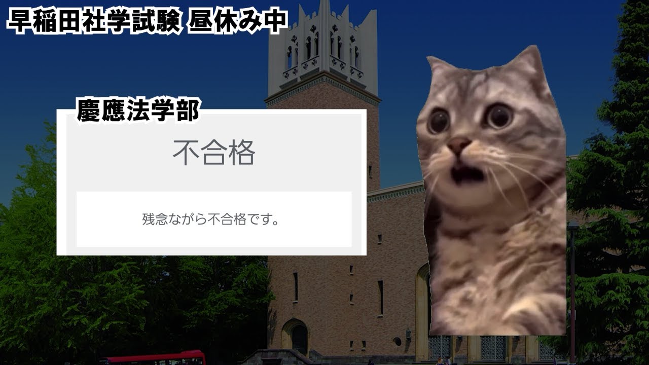 【猫ミーム】立教慶應一橋落ち→早稲田政経の受験しくじり話【猫マニ】