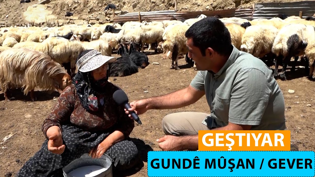 GEŞTIYAR - GUNDÊ MÛŞAN / GEVER