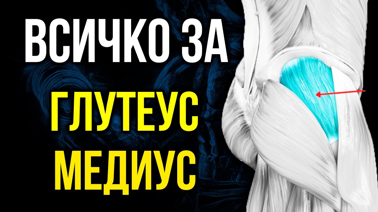 Глутеус медиус - Упражнения, Анатомия, Функции. Стабилизация, сила и мобилност в таза