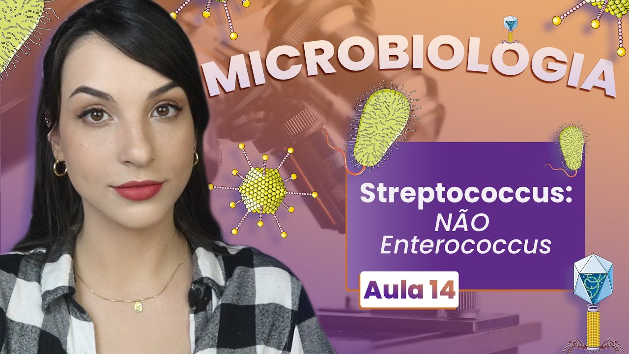 STREPTOCOCCUS: Não Enterococcus S.bovis/S. gallolyticus | Videoaula | Microbiologia | Flavonoide #14
