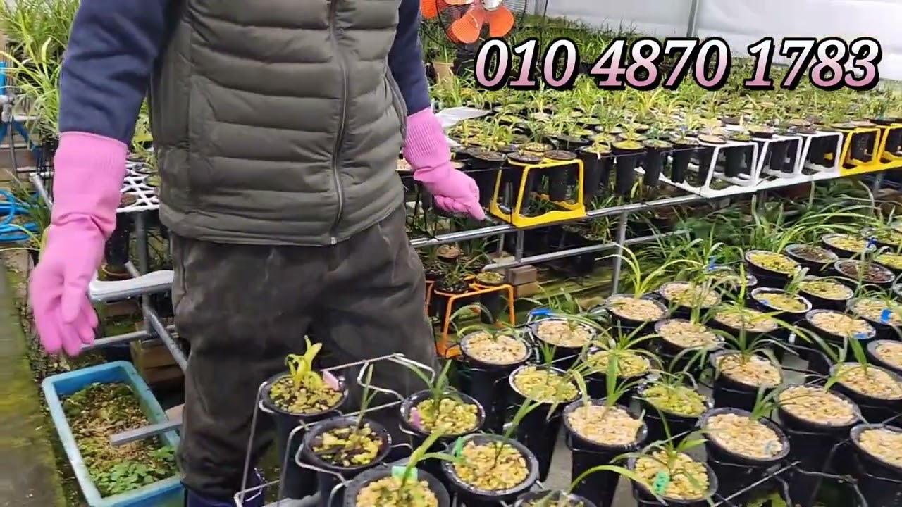 2024년 2월 26일 방제합니다 (농약치기)