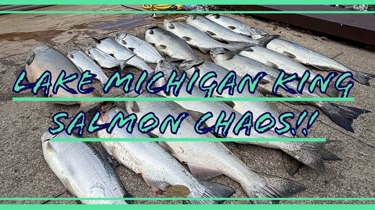 Have you ever seen a 12 rod spread get cleared out in a matter of minutes while Salmon Fishing? ￼