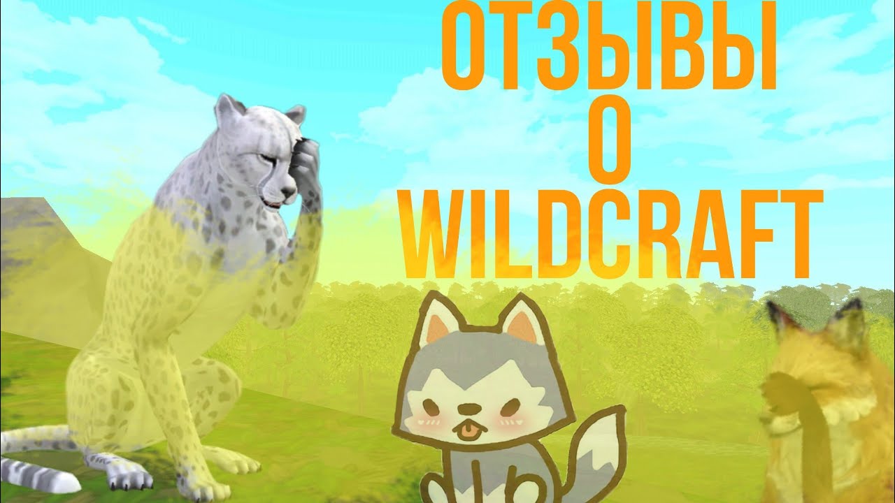 Отзывы 