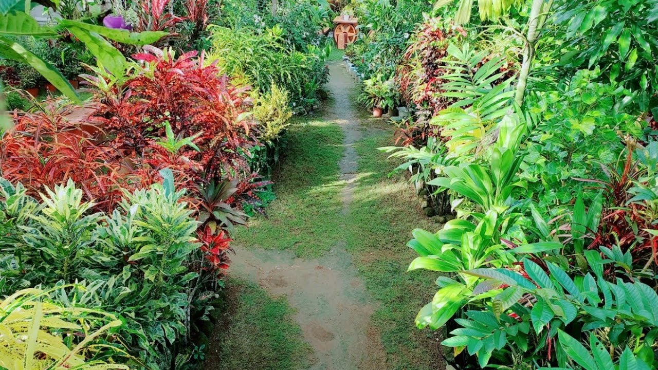 5 in1 GARDEN IDEA DESIGN//TROPICAL LUSH GARDEN TOUR//TAMBAK AT SIKSIKAN SA DAMI NG MGA HALAMAN