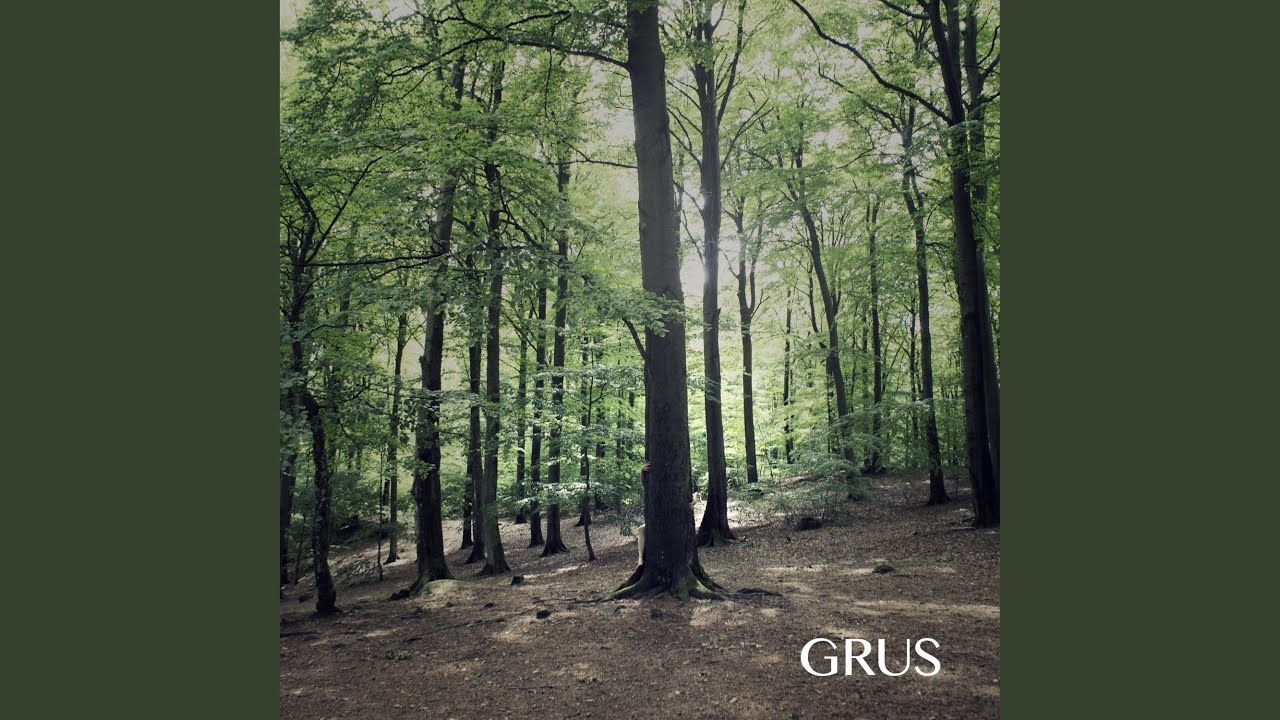 Andas (feat. Grus)