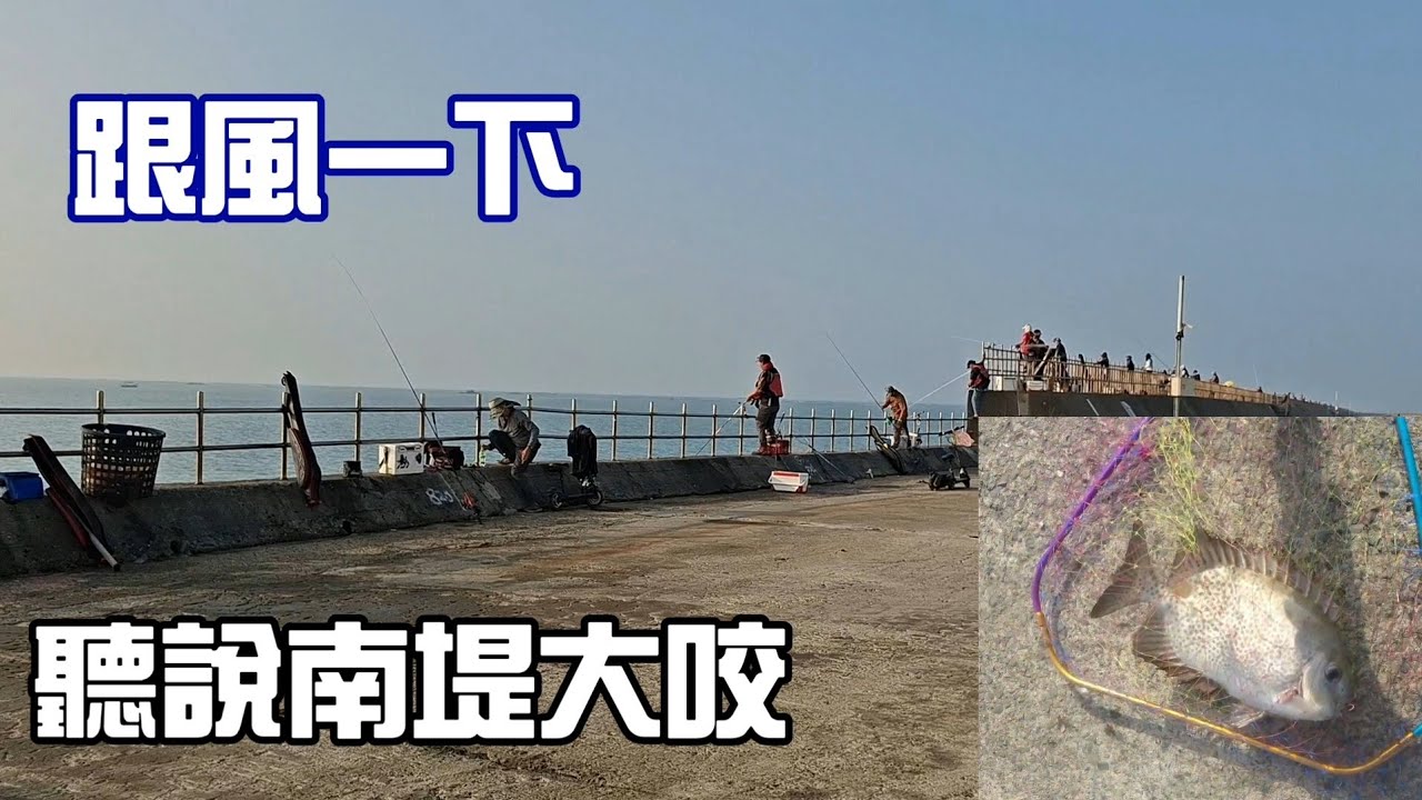 [胖咪]聽說南堤大咬 跟風一下 結果一位難求 ／#志成磯釣誘餌／#阿維磯釣練餌／#名洋釣具／#吉田精工碳纖線／#中華雞蛋豆腐！！！