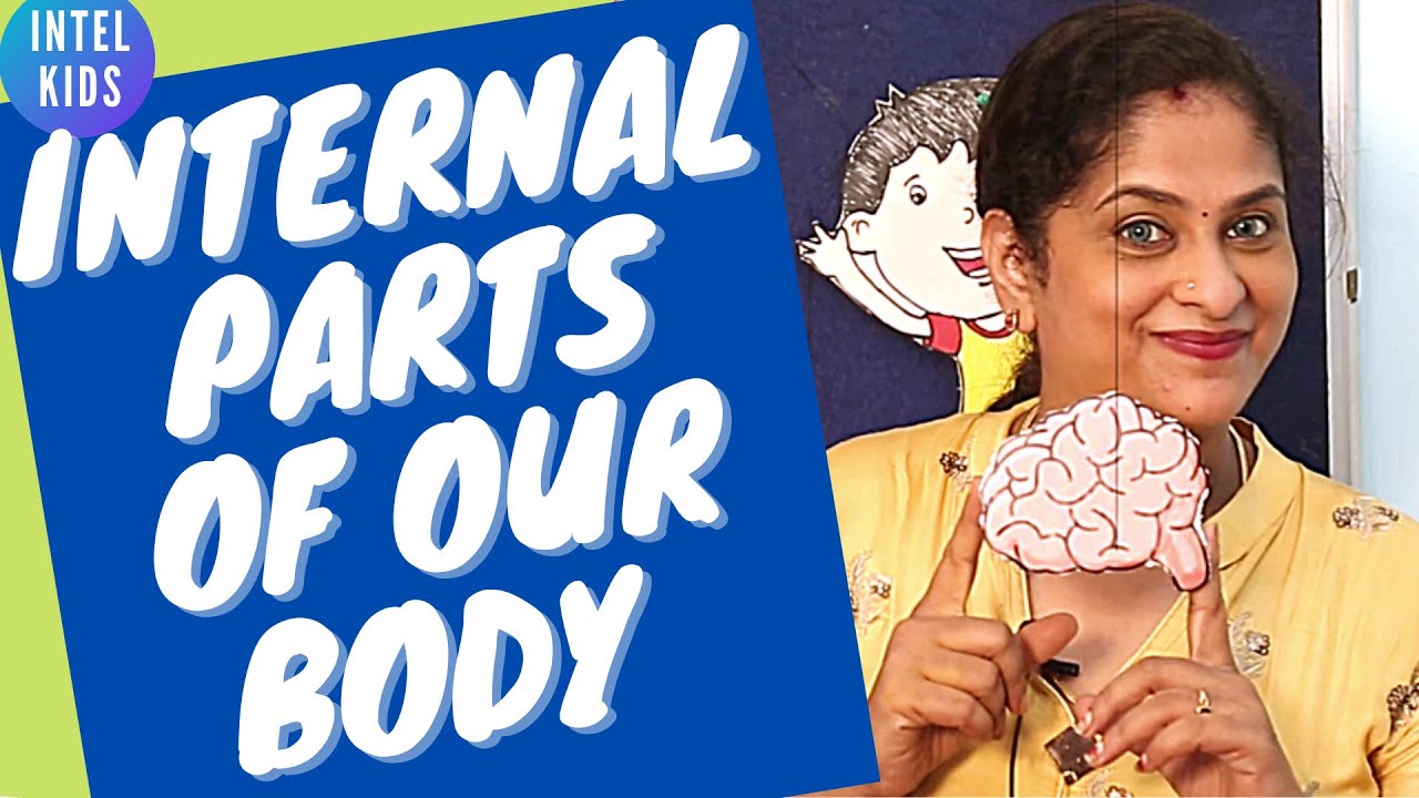 How To Teach Kindergarten Kids | Internal Body Parts for Kids | Learn Parts of the Body Rhyme