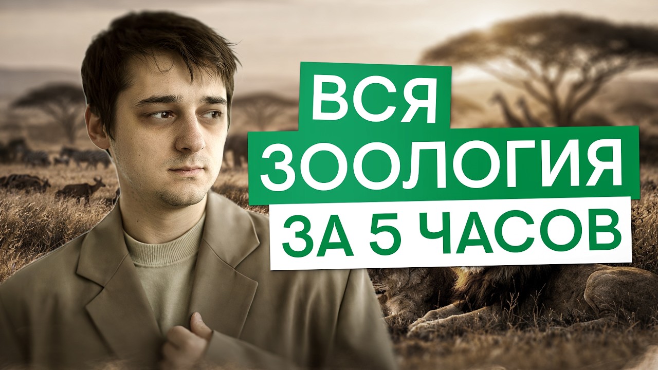 Мега-веб: вся зоология за 5 часов | Биология с Мишей Гис | ЕГЭ 2026 | СМИТАП
