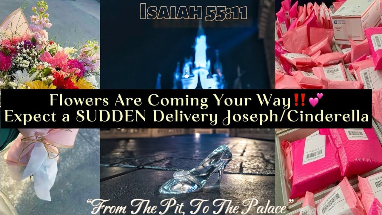 👑 You Are Being Highlighted/Sought After🎯 | A Spotlight Is On You, 💐’s are due | ⚠️❌Past Returning