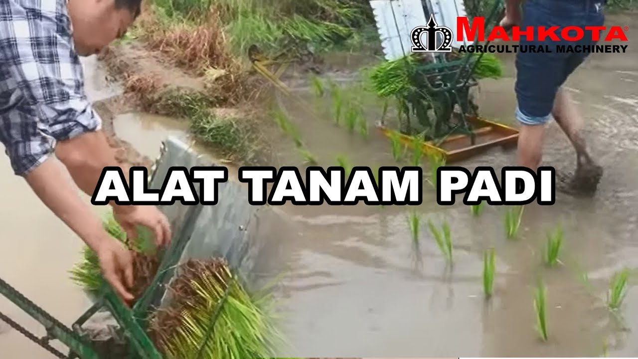TANAM PADI | PADDY SEEDER | MAHKOTA MPS 300