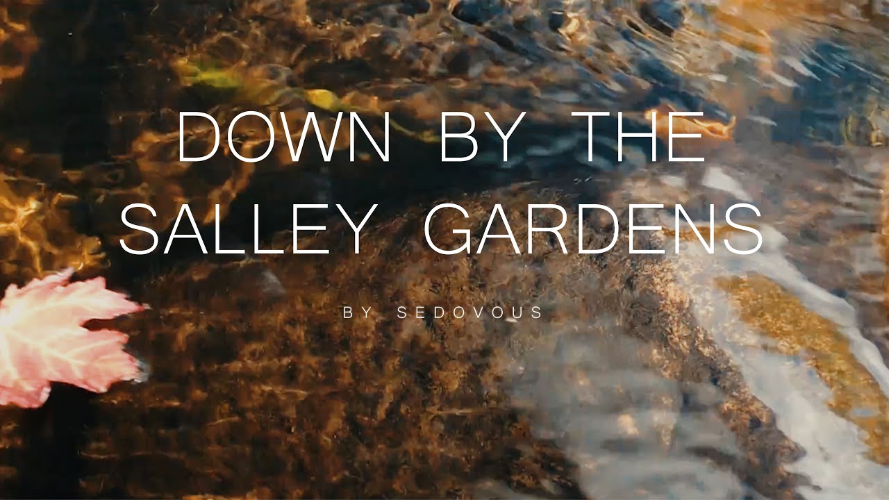 Down By The Salley Gardens - Celtic harp cover by Šedovous