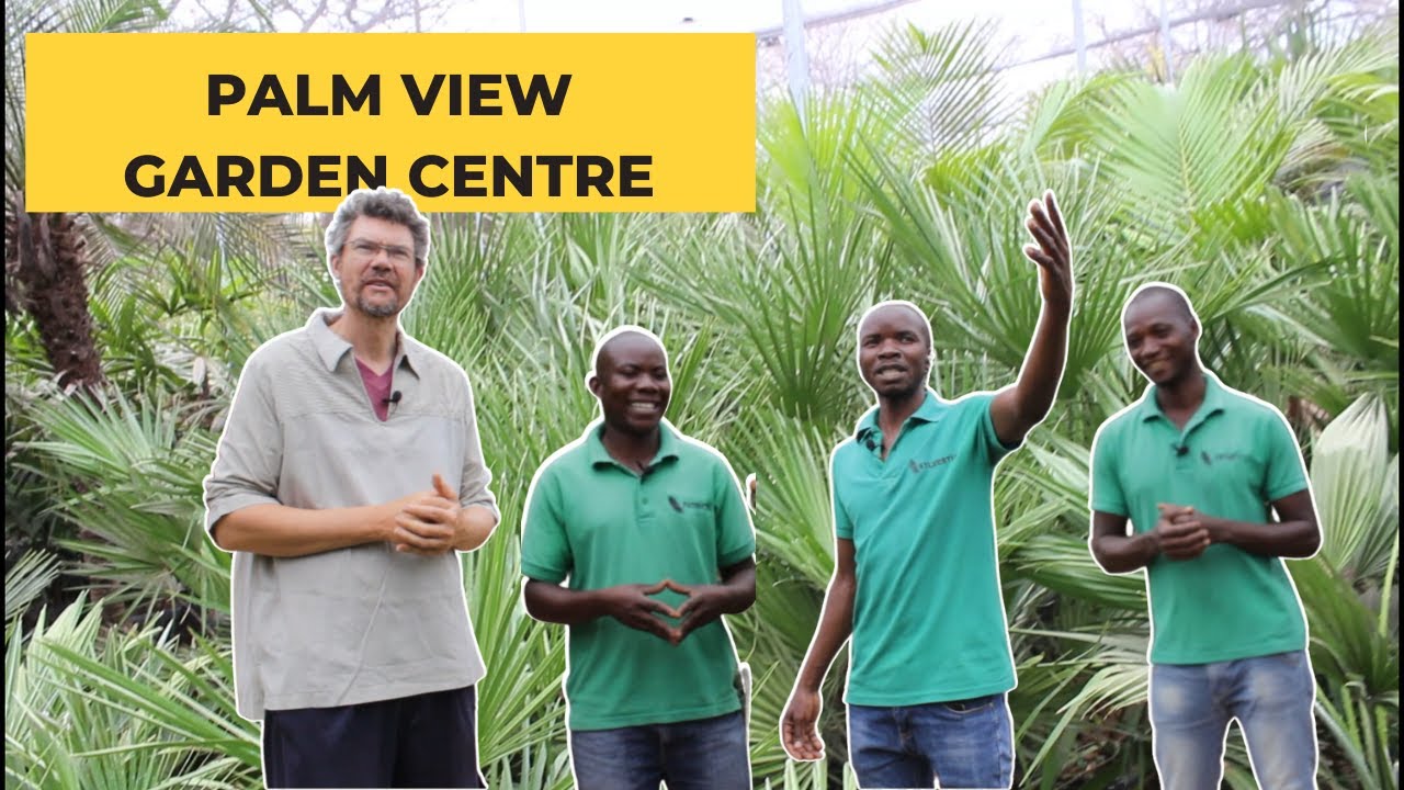 Plant Retail Nursery Tour | Palm View Nursery