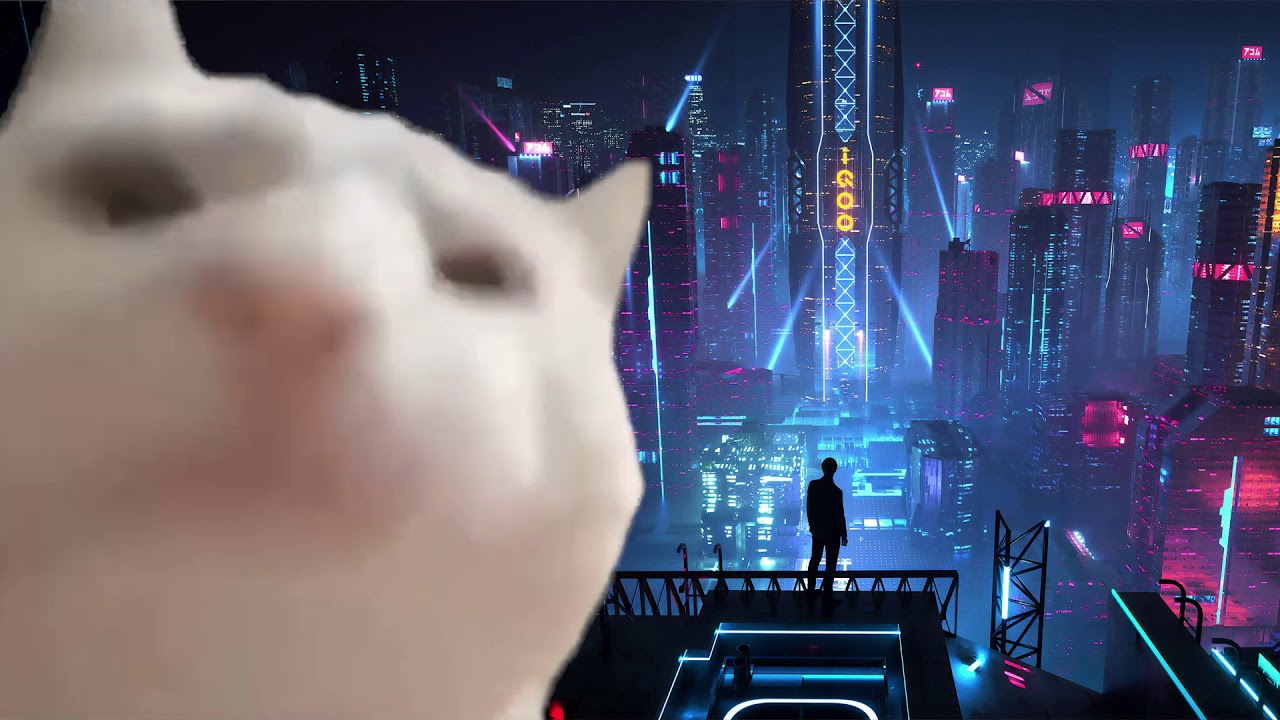 Cat vibing to The Rebel Path (cello version) - Cyberpunk 2077