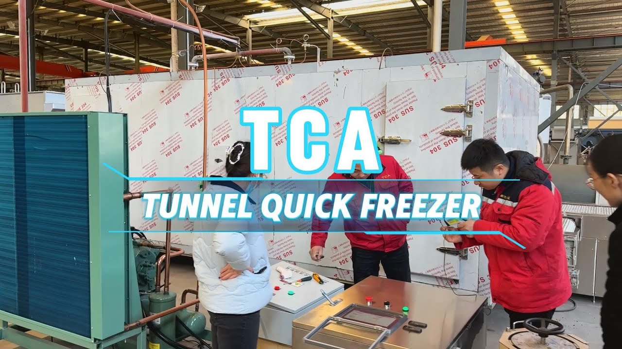 Tunnel quick freezer