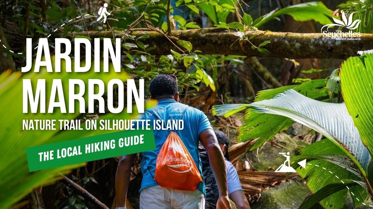 Jardin Marron Trail on Silhouette Island | The Local HIking Guide | The Seychelles Islands