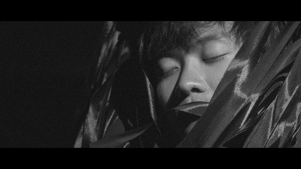 TÙNG - CON CHIM TRÊN CÀNH HÁT VỀ TÌNH YÊU (Official Music Video)