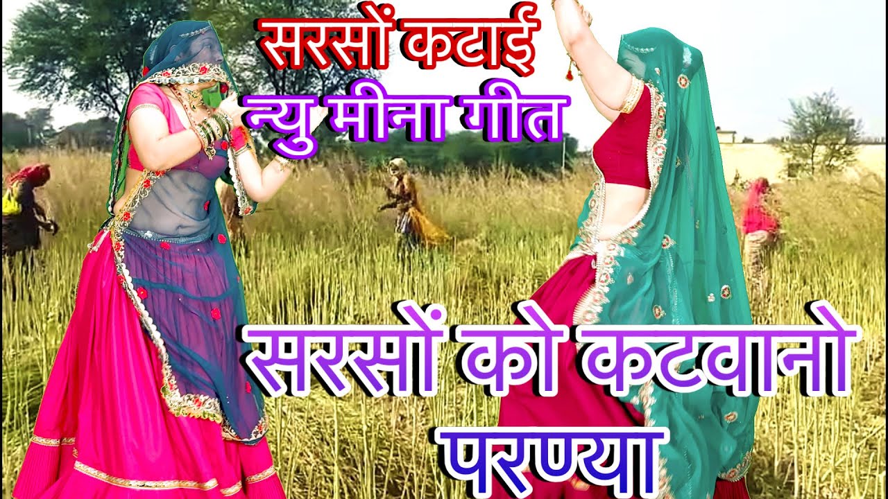 सरसों कटाई न्यू{VIRAL}मीना ~ गीत !!💥सरसों को कटवानों परण्या,,डोडो होर चाले../New Meenawati dance