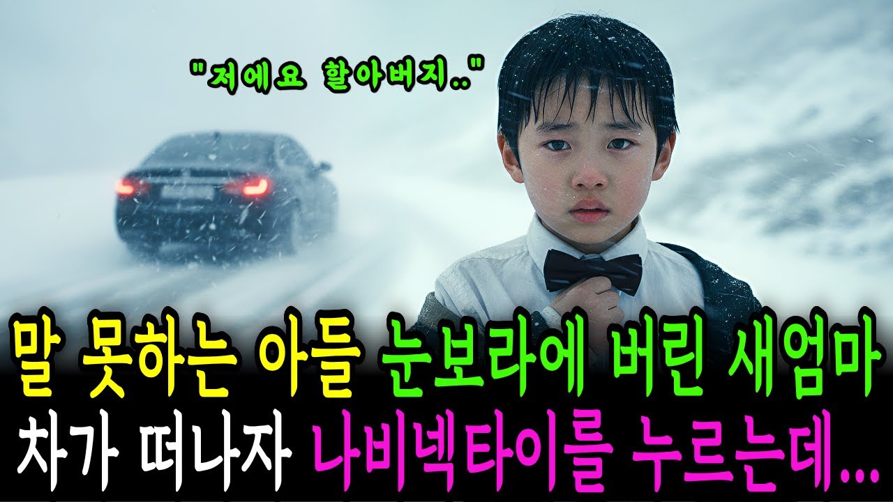 눈보라 속 버려진 말 못하는 아들, 새엄마 차가 떠나자 나비넥타이를 누르는데..ㅣ오디오북ㅣ인생사연ㅣ사이다사연