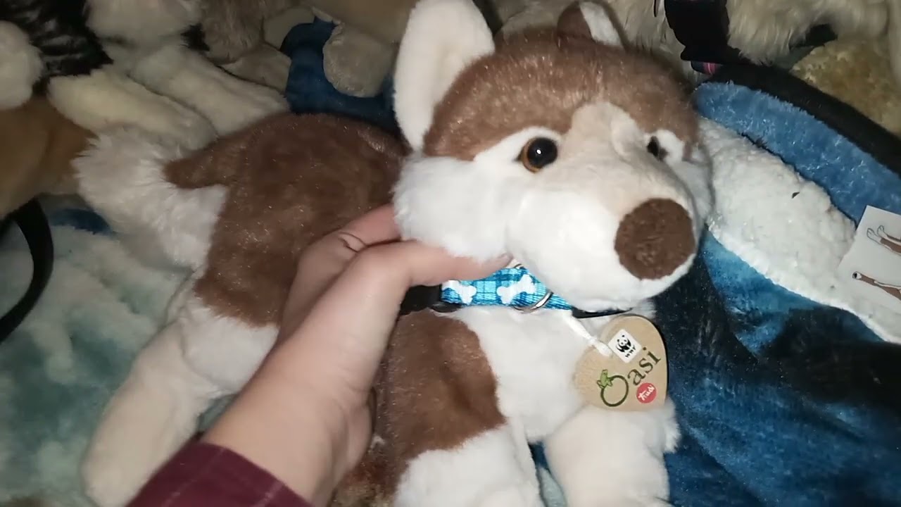 Welcoming Oasis my trudi wwf wolf!!