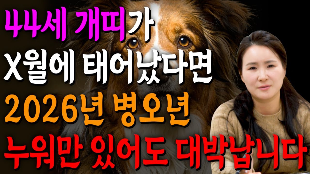 ✨2026년 1982년생 44세 개띠운세✨모든 나이 통틀어 최고의 금전 재물 대운이 들어왔다! 올 겨을 무조건 대박납니다! 금전,문서,귀인까지 대박나는 82년생 44세 개띠 운세