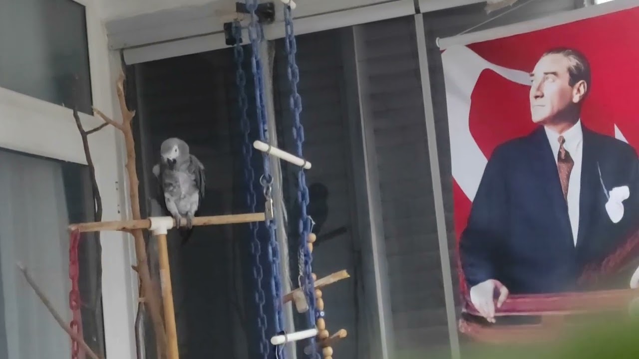 ÇAKIL SONRADAN AÇILDI