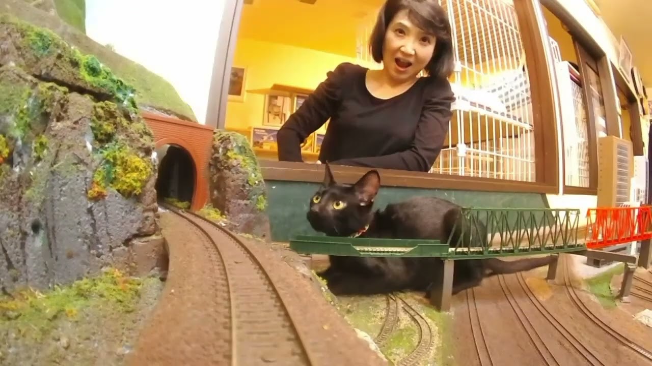 安全第一！猫猫鉄道！Enjoy the peaceful Neko Neko Railway.
