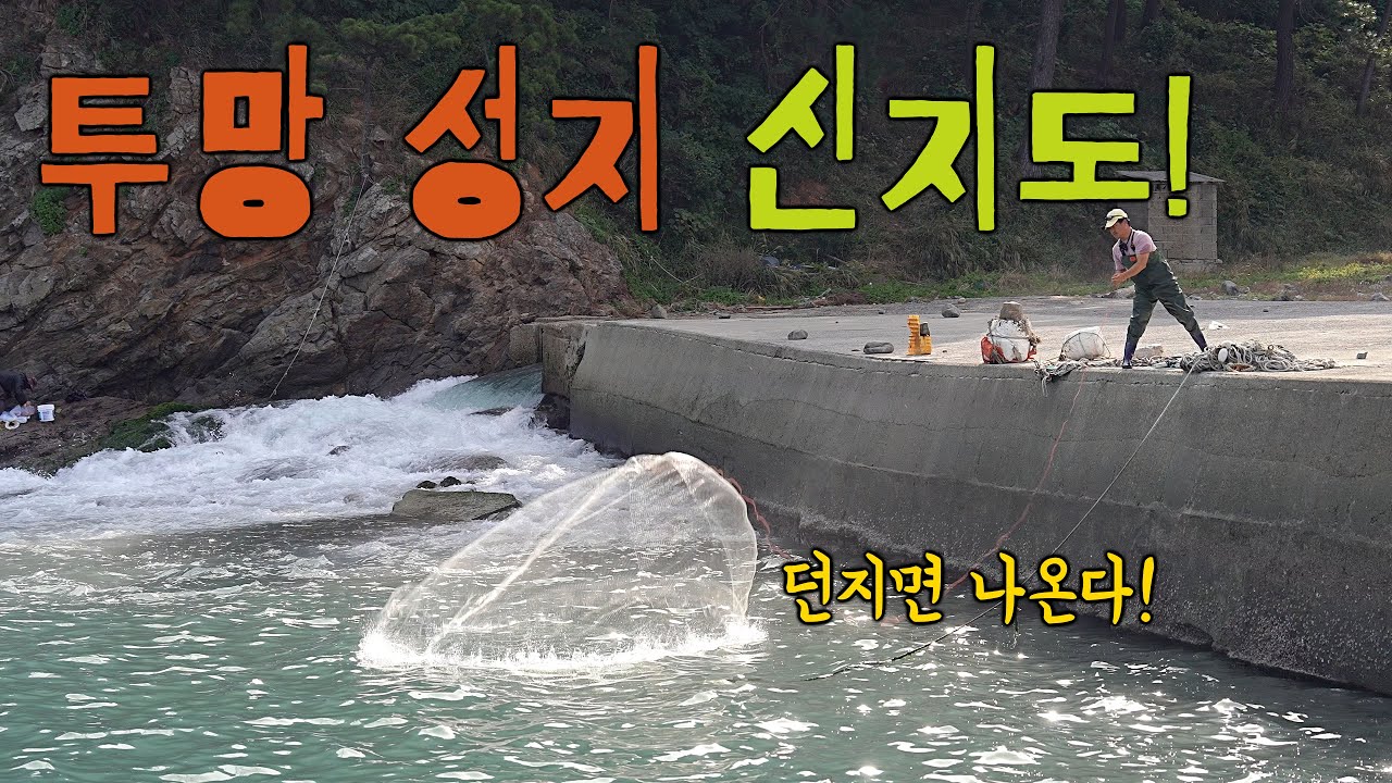 왕복 1100km 달려 투망 치러 갔더니! 던지면 나오는 최고급 물고기들! 대박이다!