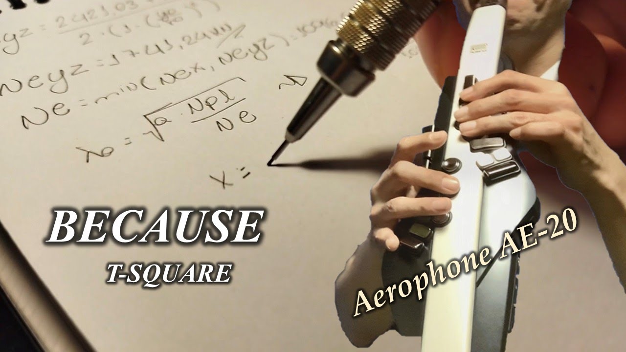 BECAUSE / T-SQUARE【Aerophone Cover】 
