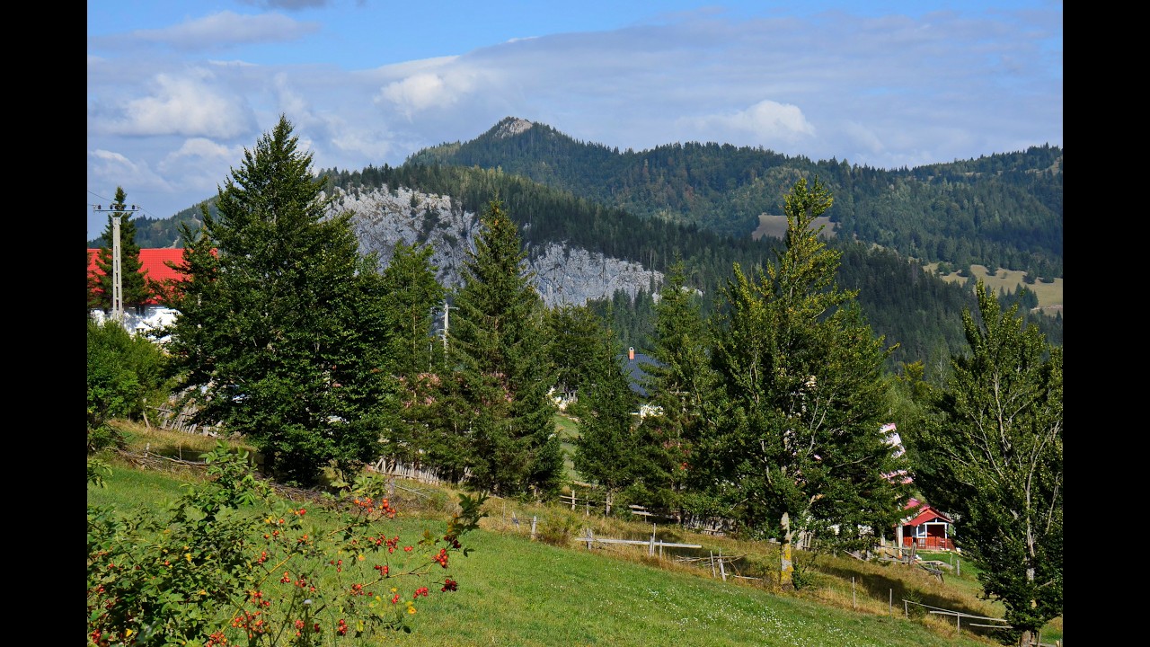 Lacul Rosu-Valea Bicăjel