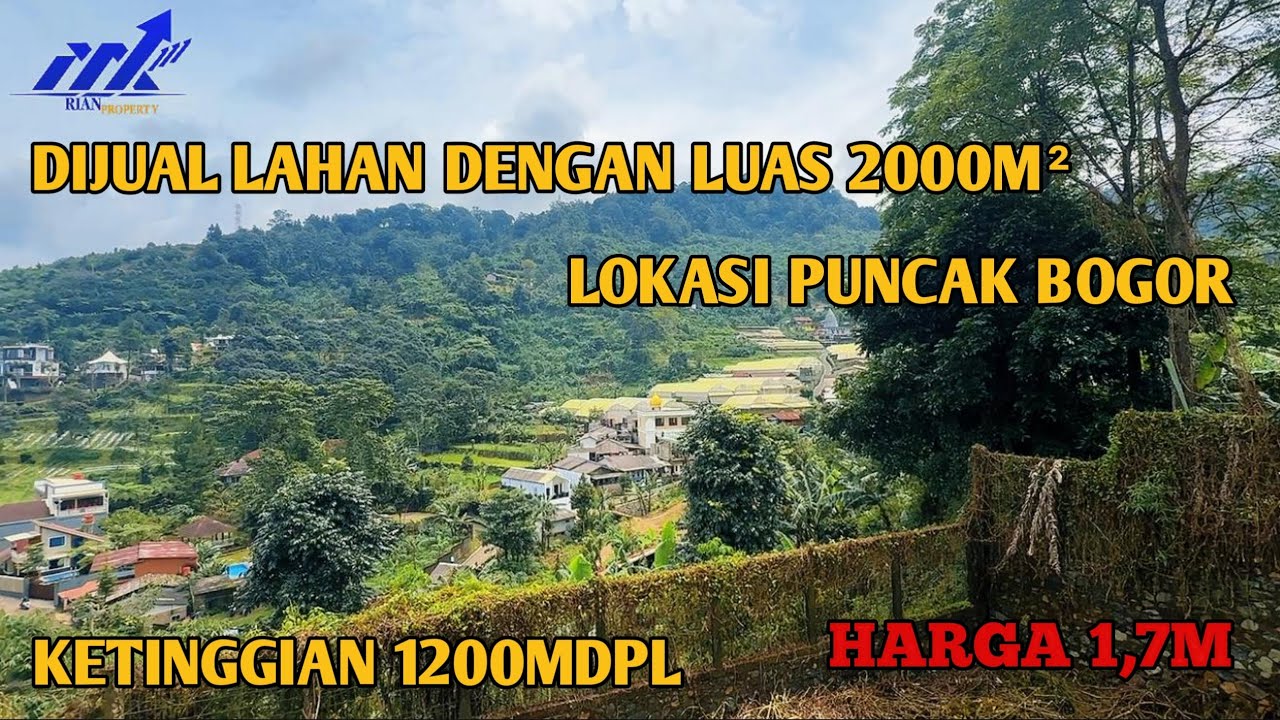 DIJUAL CEPAT LAHAN VILLA RENOVASI | LUAS 2000M² | DI PUNCAK CISARUA BOGOR | HARGA 1,7M