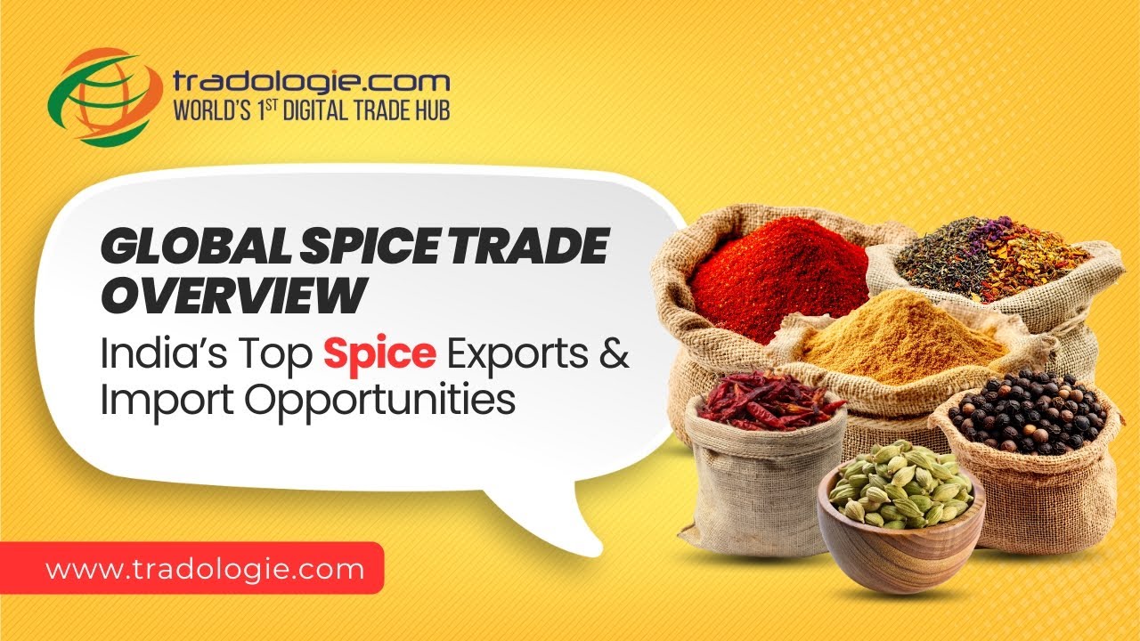 Global Spice Trade Overview | How to Export Spices from India | Turmeric, Chilli, Cumin Market#spice